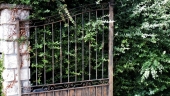 gate.jpg